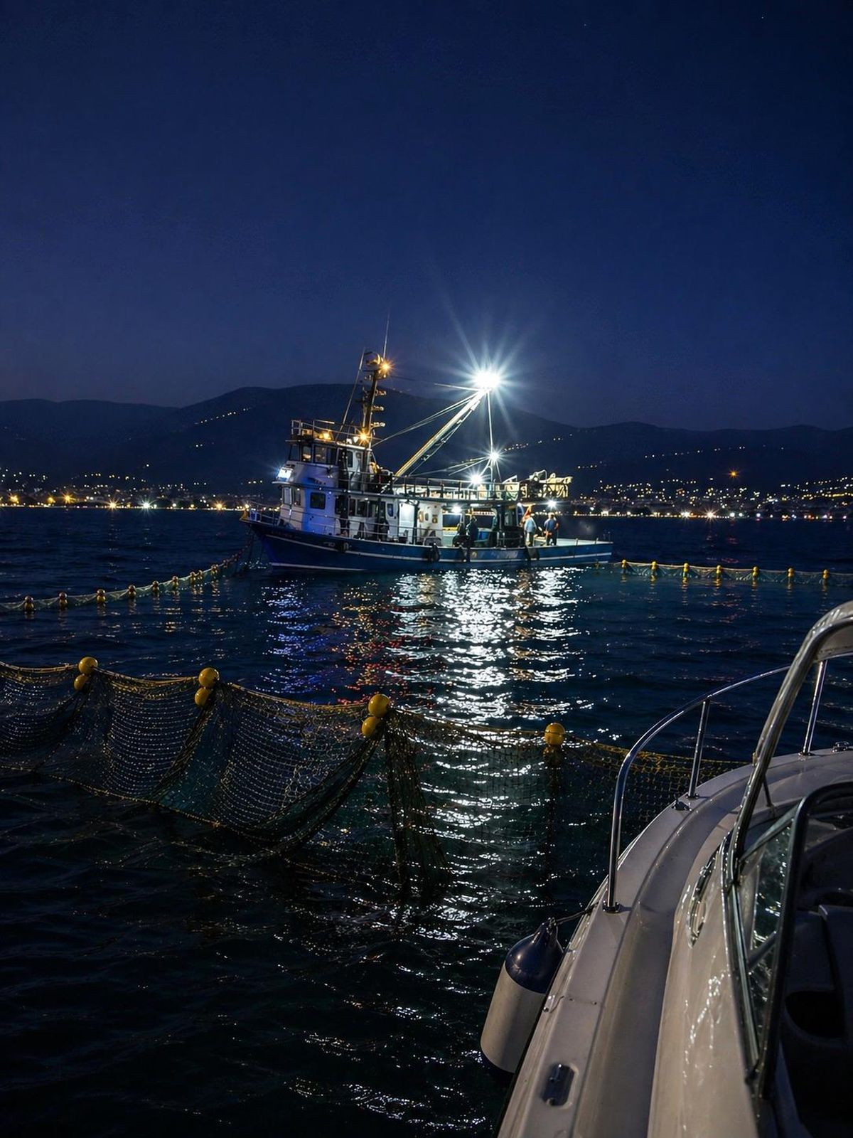 Gemlik Körfezi'nde sardalya avcılığı başladı