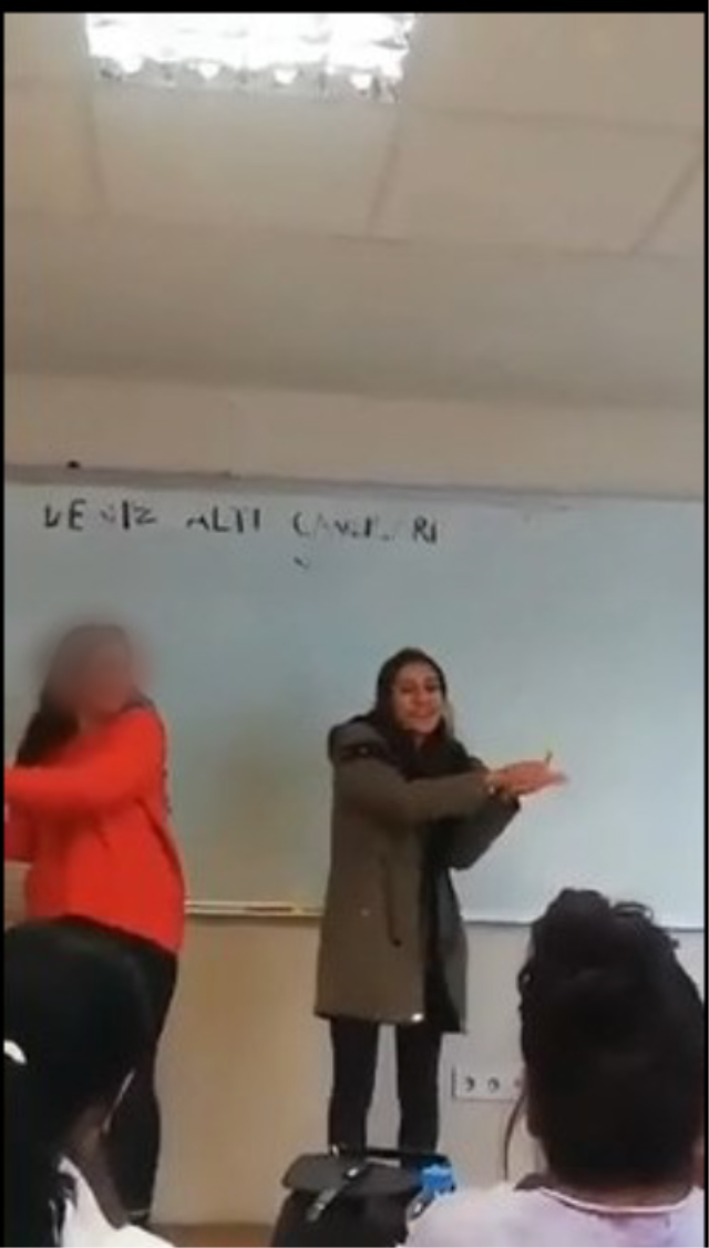 iste gulistan dokunun kaybolma 19785456 6416 1 m