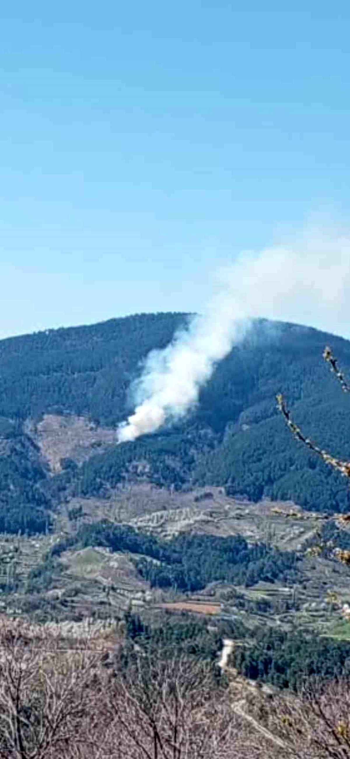 Nazilli'de orman yangını