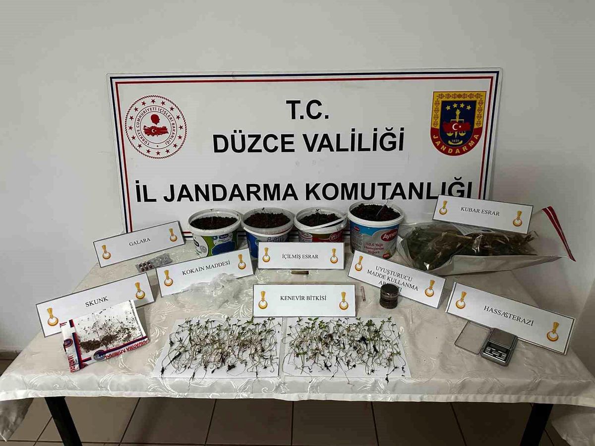 Saksıda kenevir yetiştiren şahıs gözaltına alındı