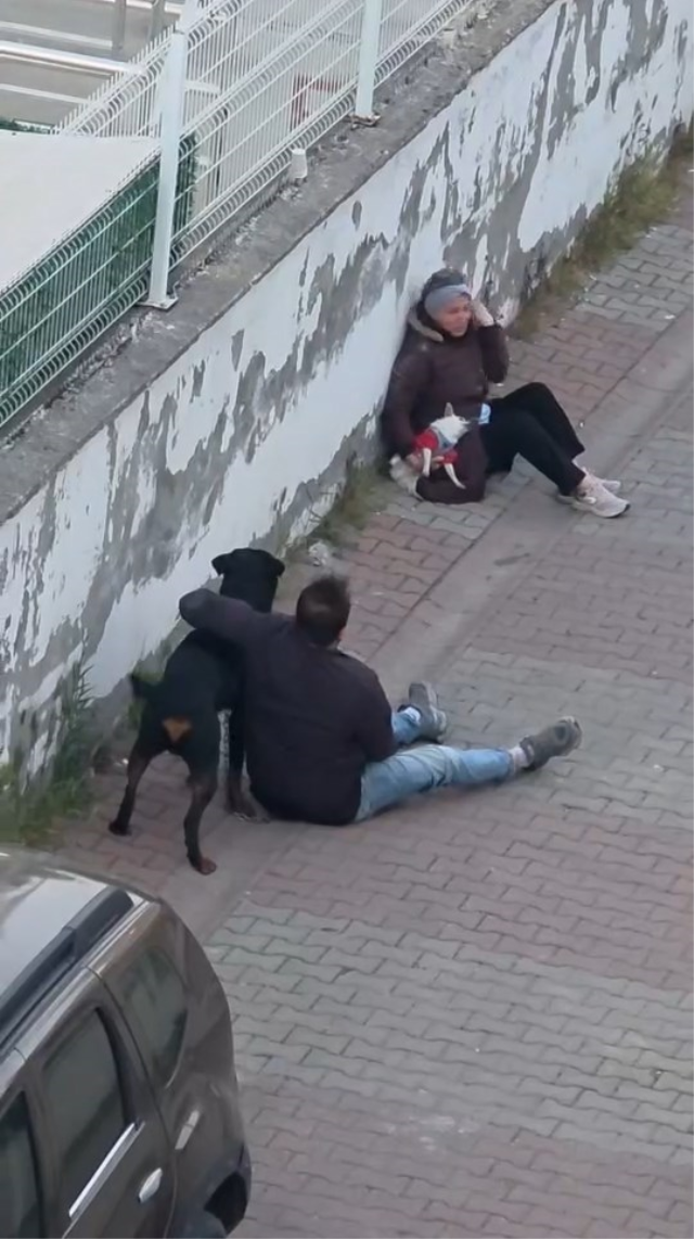 agizliksiz gezdirilen rottweil 19786962 2136 1 m