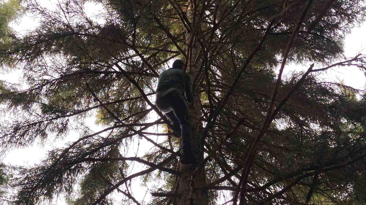 Artvin'de 40 metrelik göknar ağacının tepesine takılan dronu böyle kurtardılar