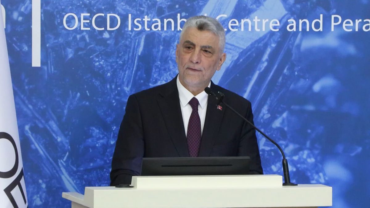Bakan Bolat OECD 'Kritik Mineraller Forumu'nda konuştu