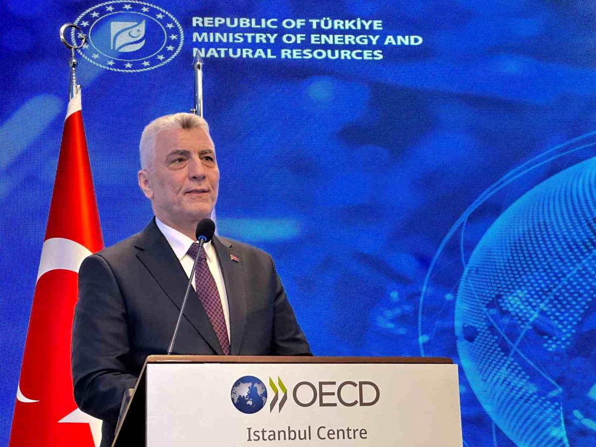 Bakan Bolat'tan kritik minerallere erişim için küresel iş birliği çağrısı