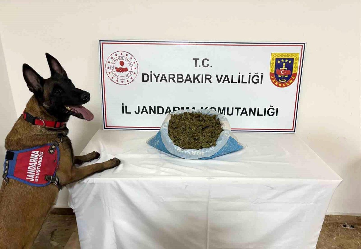 Diyarbakır'da 23 kilo esrar ele geçirildi