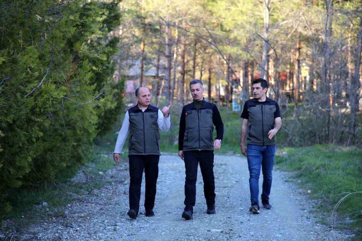 Erzincan'da orman projeleri incelendi