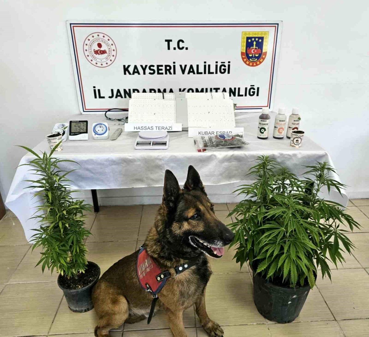 Kayseri'de uyuşturucu operasyonu