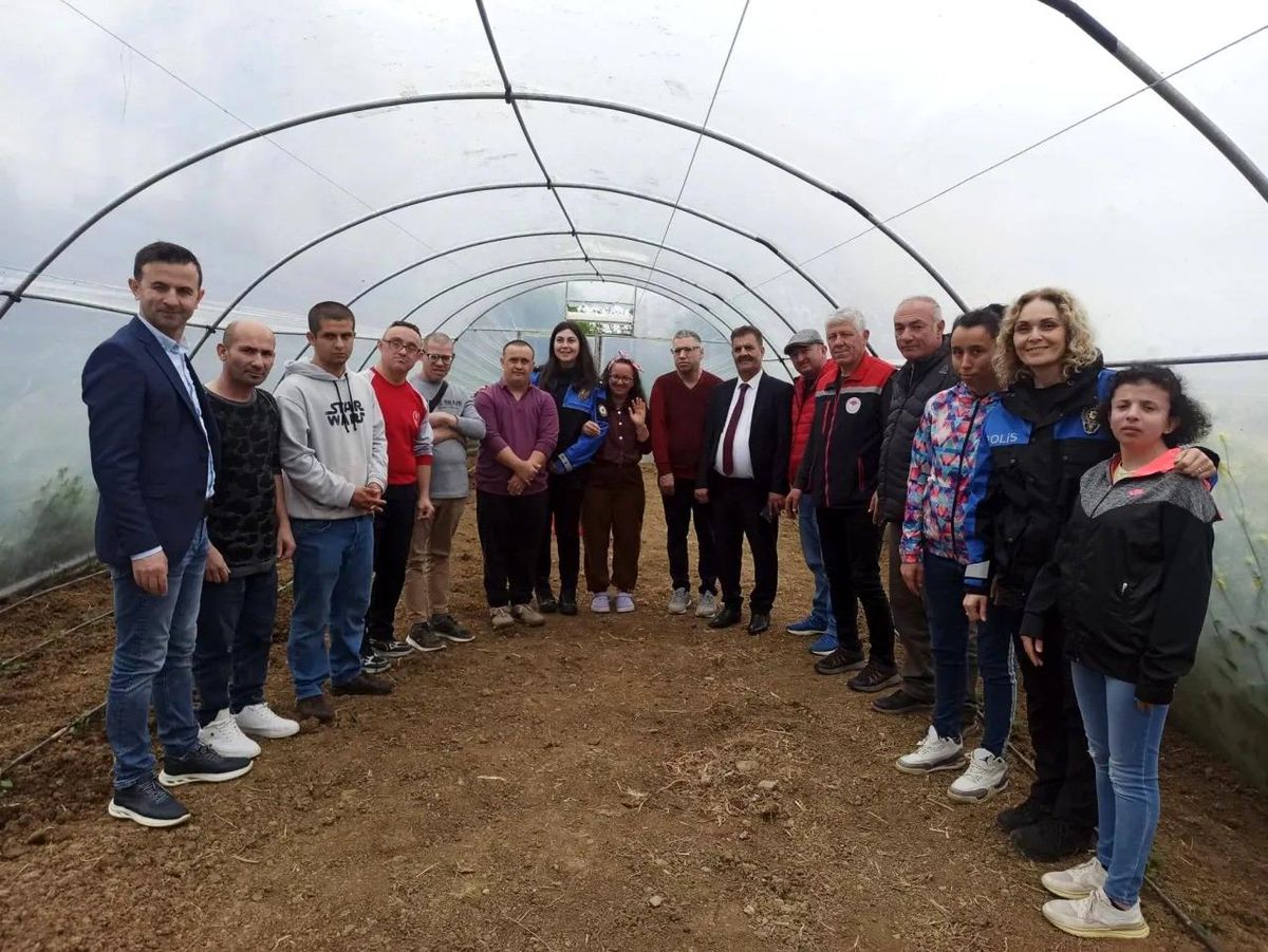 Sinop'ta özel bireylerden fide dikimi etkinliği