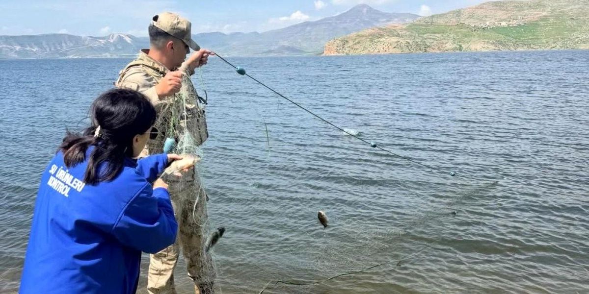 Şırnak'ta yasak dönemde yakalanan balıklar doğaya kazandırıldı