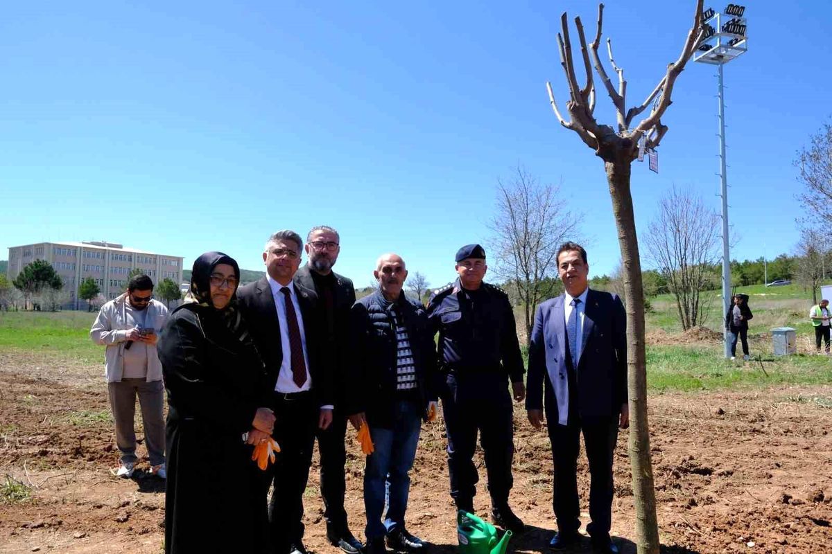 Sivas'ta şehitlerin adı fidanlarda yaşatılacak