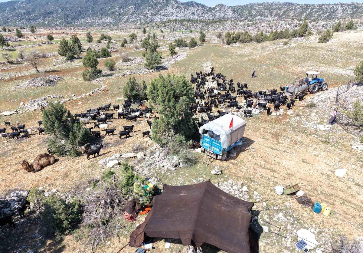 Toroslar'da Yörük göçü başladı: Sarıkeçililer yayla yolunda