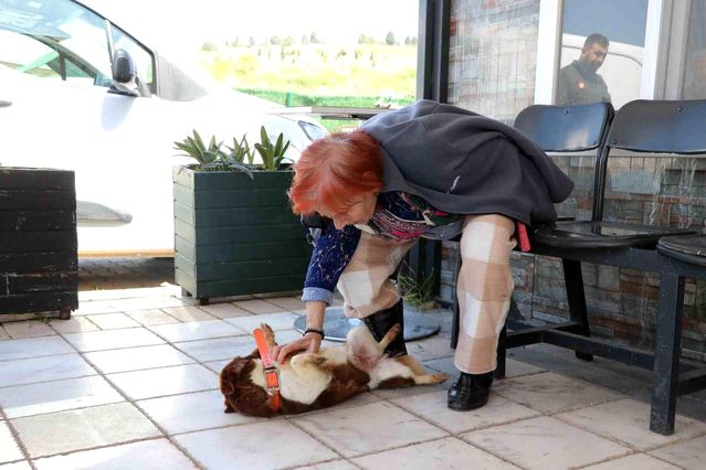 Yalova’da Cevriye teyze can dostu ile duygulandıran buluşma