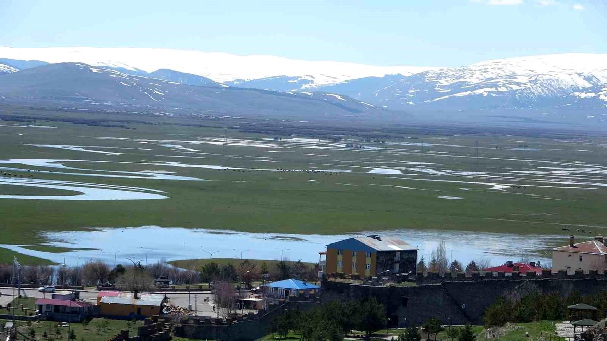 Ardahan'da Kura Nehri'nin debisi yükseldi