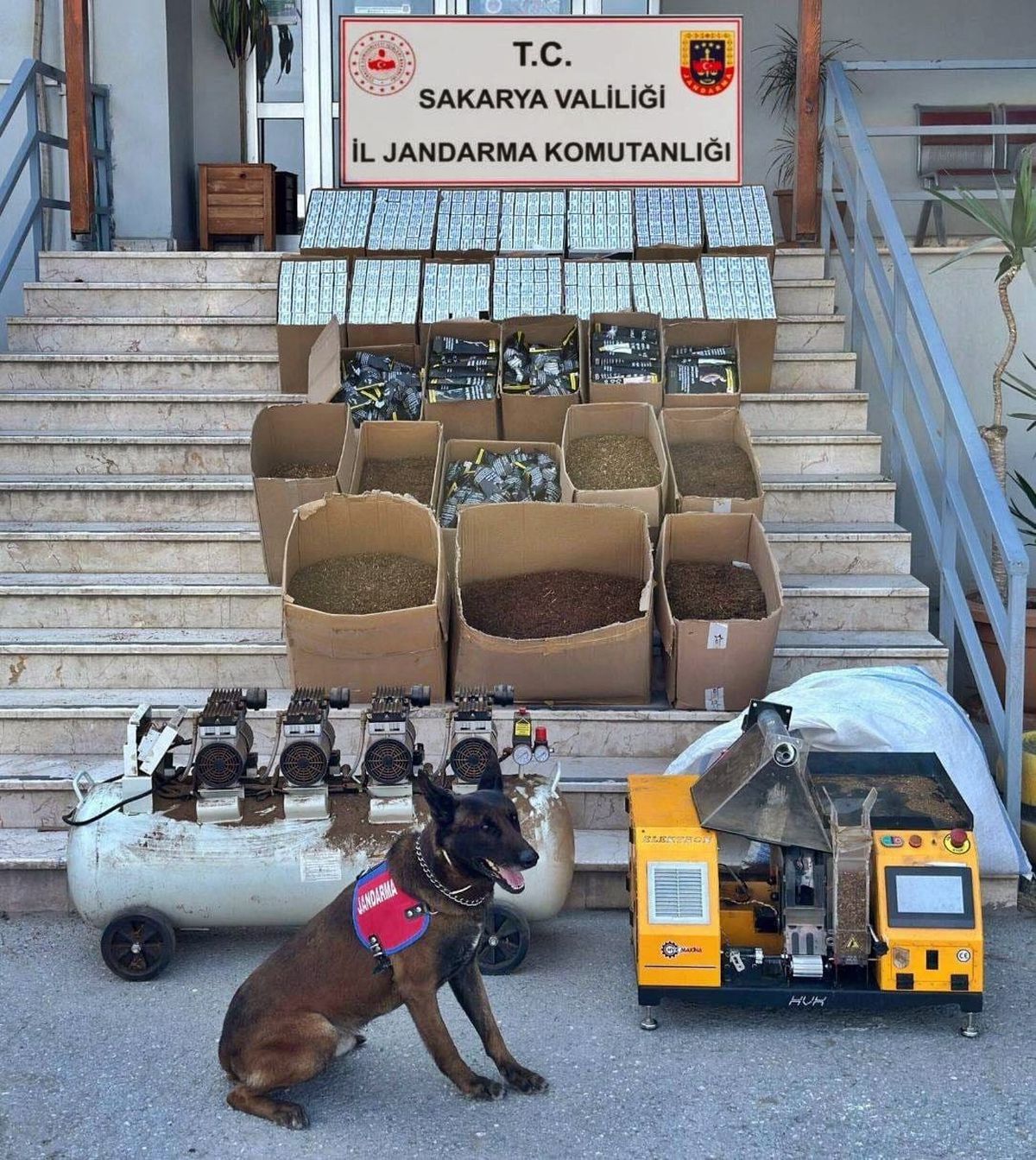 Sakarya'da kaçak tütün operasyonu: 321 bin 540 adet makaron ele geçirildi