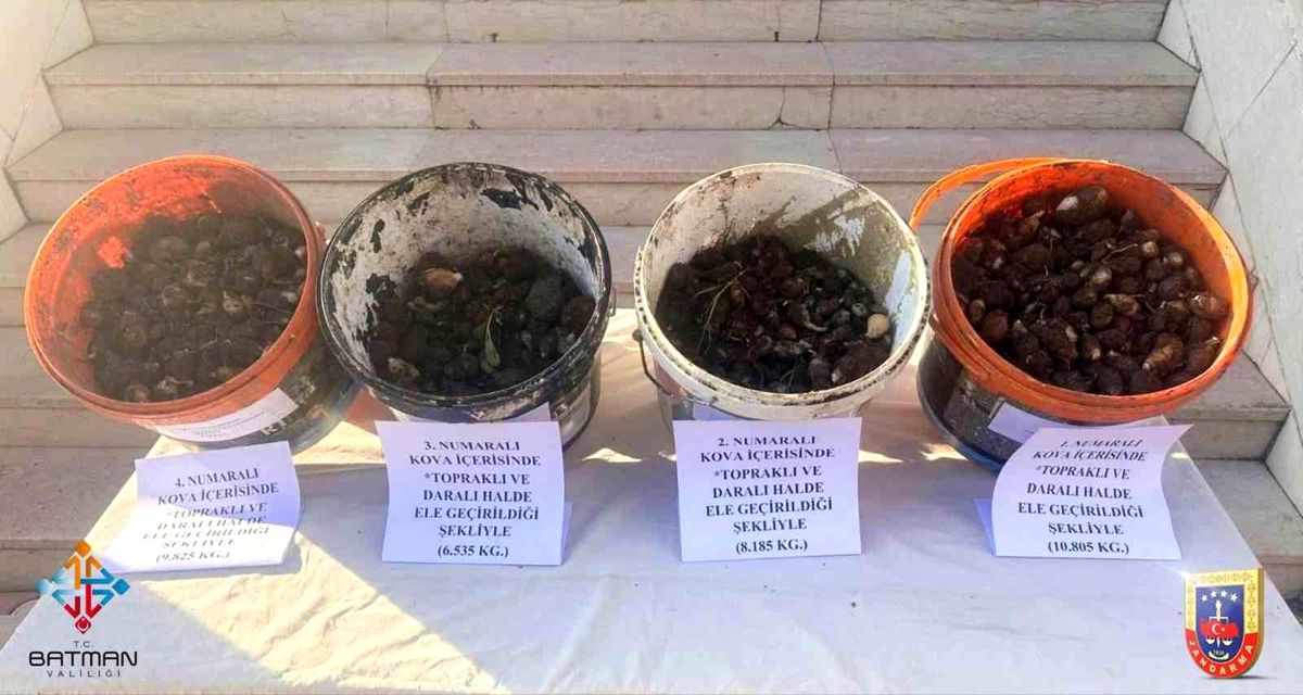 Sason'da endemik bitki operasyonu: 4 kişiye 2 milyon 8 bin lira ceza