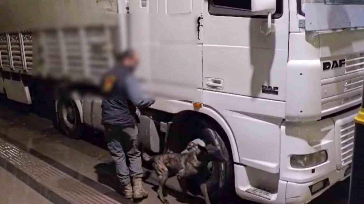 Sivas'ta 12 kilo uyuşturucu ele geçirildi: 2 tutuklama