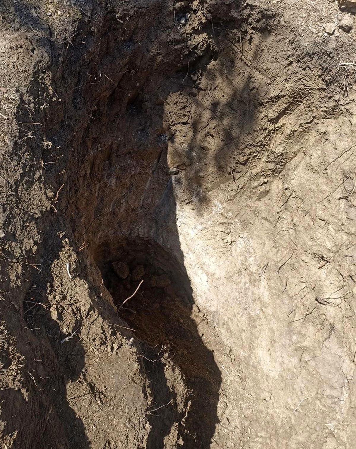 Tekirdağ'da mezarlıkta define aradılar