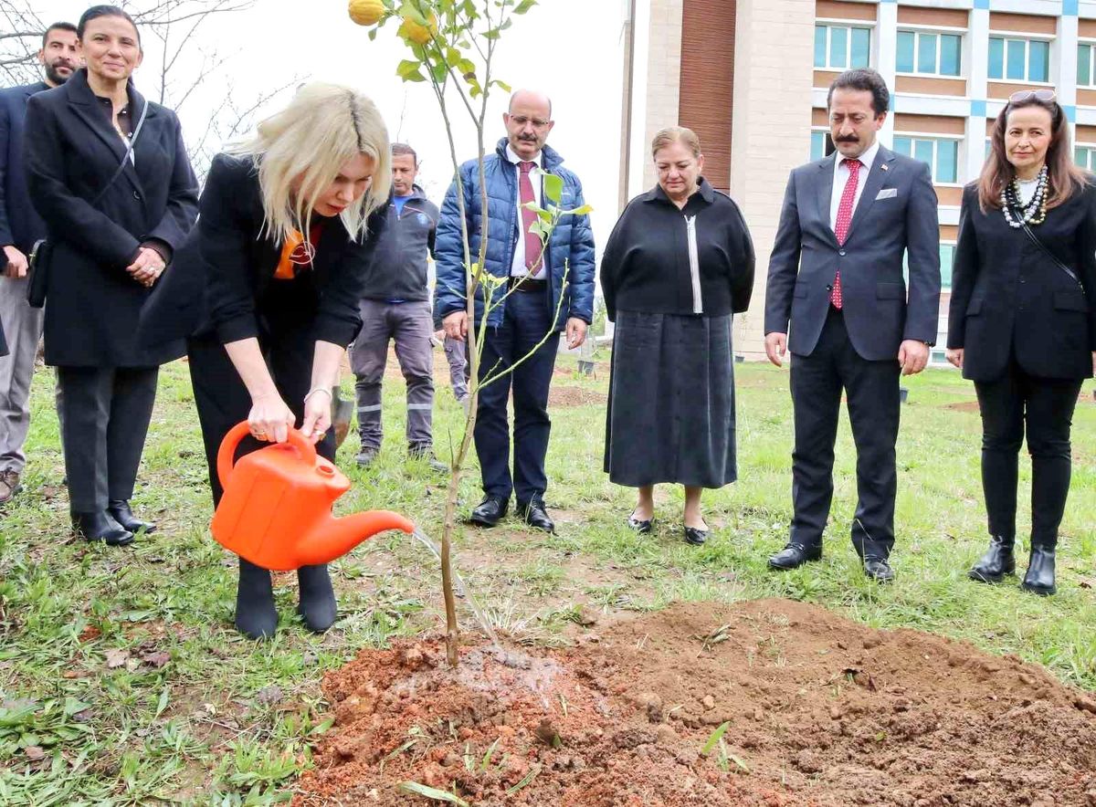 Akdeniz Üniversitesi'nde son 2 yılda 5 bin fidan dikildi