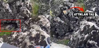 Diyarbakır'da bir garip olay! Korkup taşa tuttukları şey bakın ne çıktı