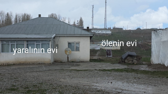 kopek dehsetinin goruntuleri o 19793684 7913 2 m