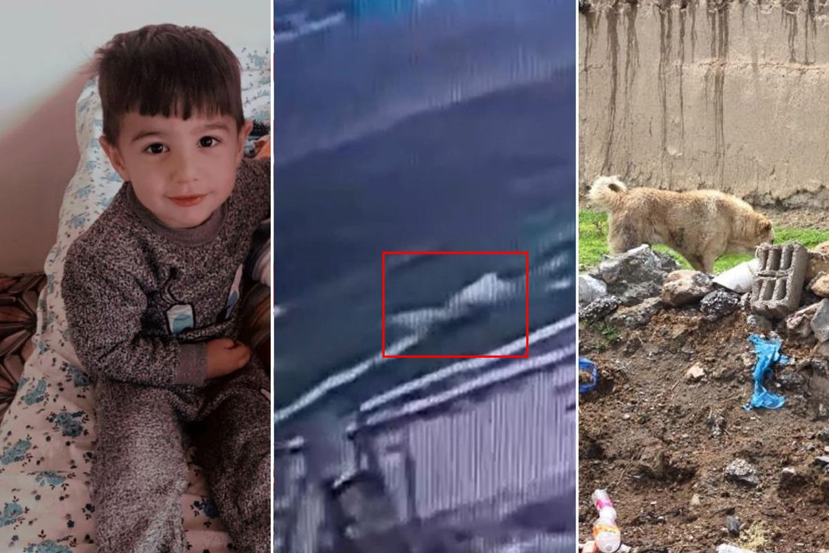 5 yaşındaki Hamza'nın can verdiği köpek dehşetinin görüntüleri ortaya çıktı