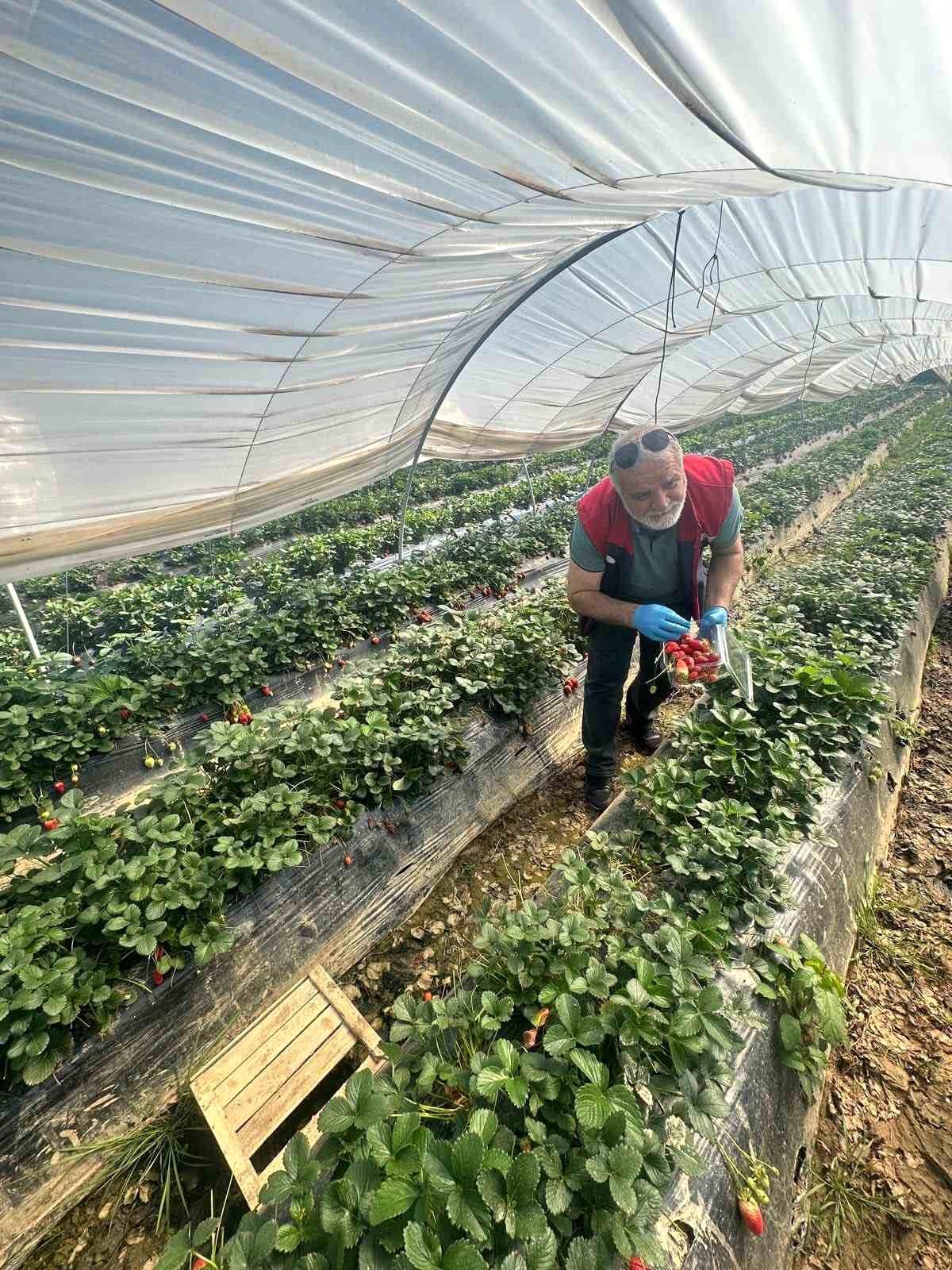 Köşk'ten Sultanhisar'a çapraz denetim