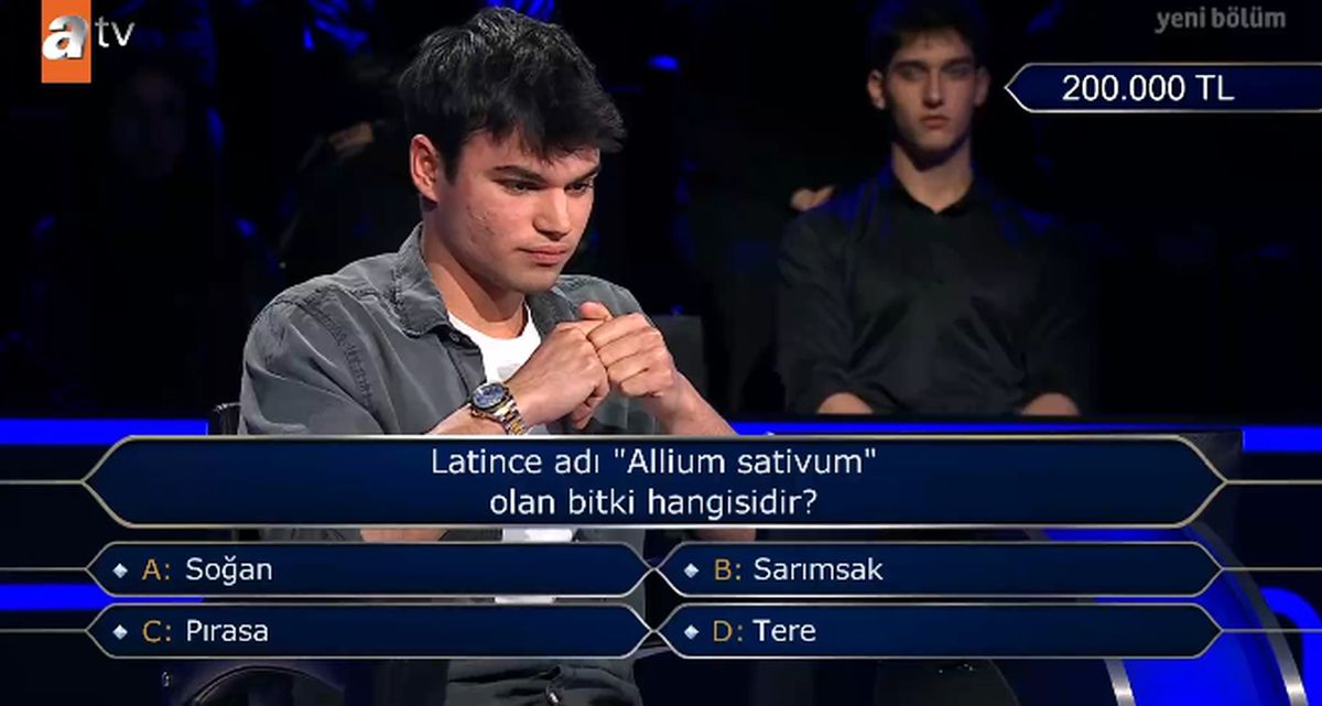 Latince adı Allium sativum olan bitki hangisidir?