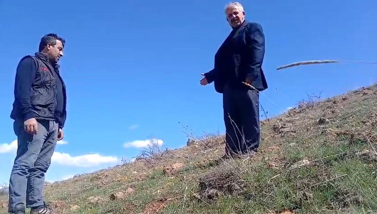 Ters laleyi koparmanın cezası 700 bin TL