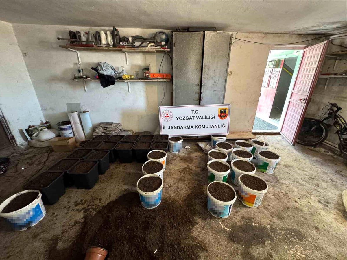 Yozgat'ta uyuşturucu yetiştirme düzeneği ve uyuşturucu madde ele geçirildi