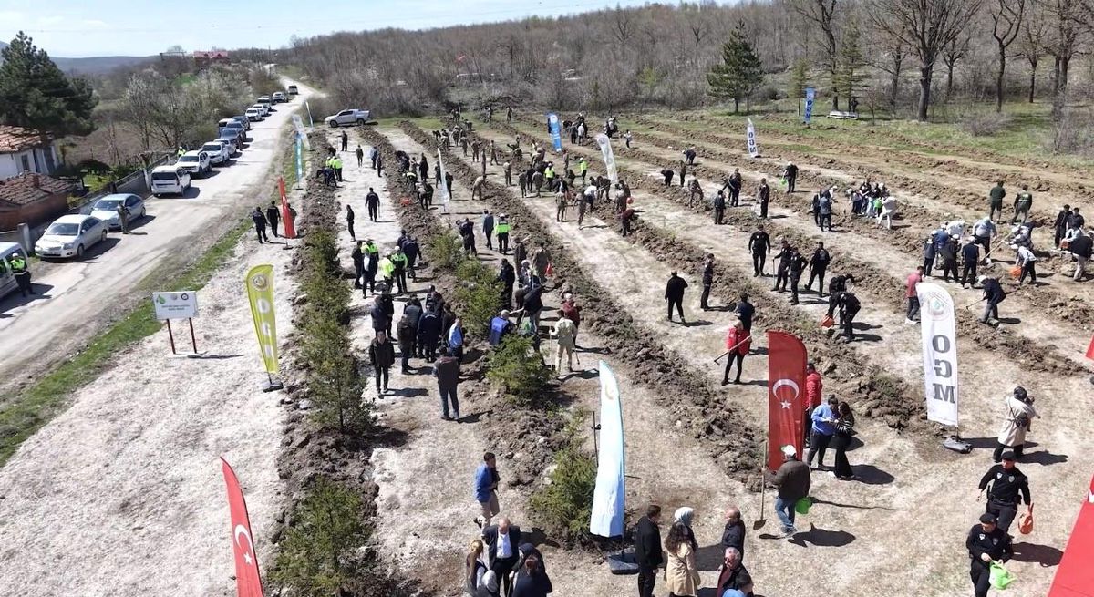 İstanbul'da uyuşturucu operasyonunda şehit olan Emre Albayrak'ın adı hatıra ormanında yaşayacak
