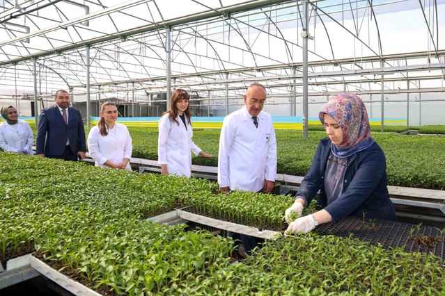 Meram Belediyesinin Konya çiftçisine büyük desteği, Konya Fide'de yeni sezon satışları başladı