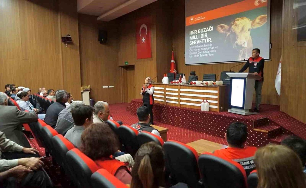 Muğla'da buzağı kayıplarını azaltmaya yönelik eğitimler başladı