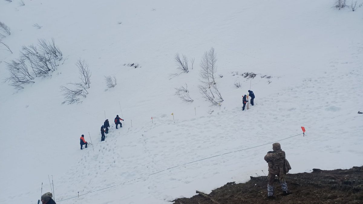 Artvin'de çığ altında kalan çoban için arama çalışması başlatıldı