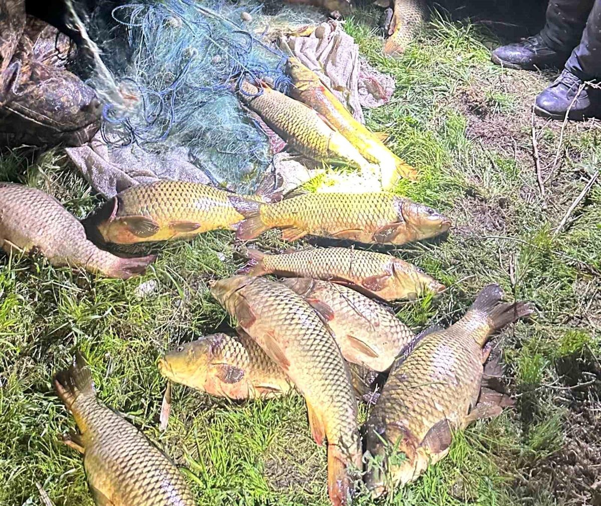 Eğirdir Gölü'nde kaçak avcılara suçüstü: 100 kilo sazan yeniden göle bırakıldı