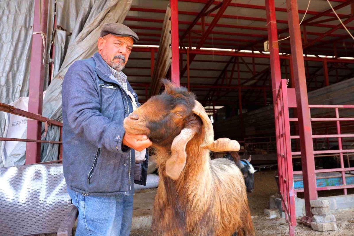 Kahramanmaraş'ta kurbanlık fiyatlarında esnaftan indirim kararı