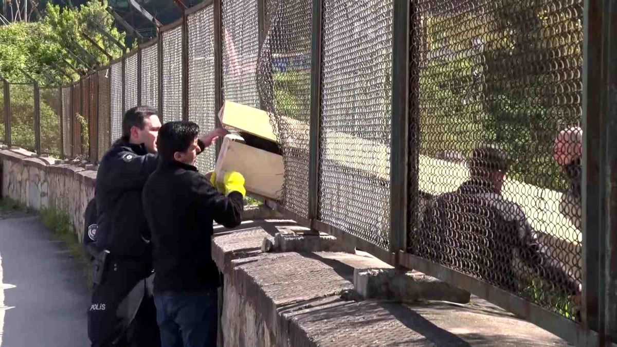 Maltepe'de ormanda erkek cesedi bulundu