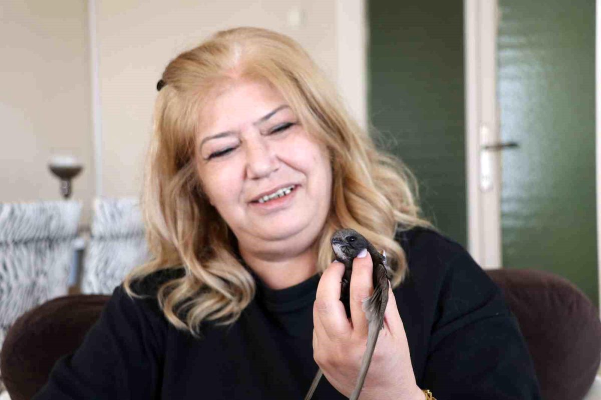 Ölmek üzereyken buldu, evinde bebek gibi besledi