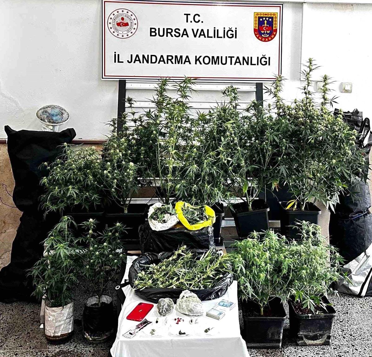 Osmangazi'de uyuşturucu operasyonu: 1 şüpheli tutuklandı