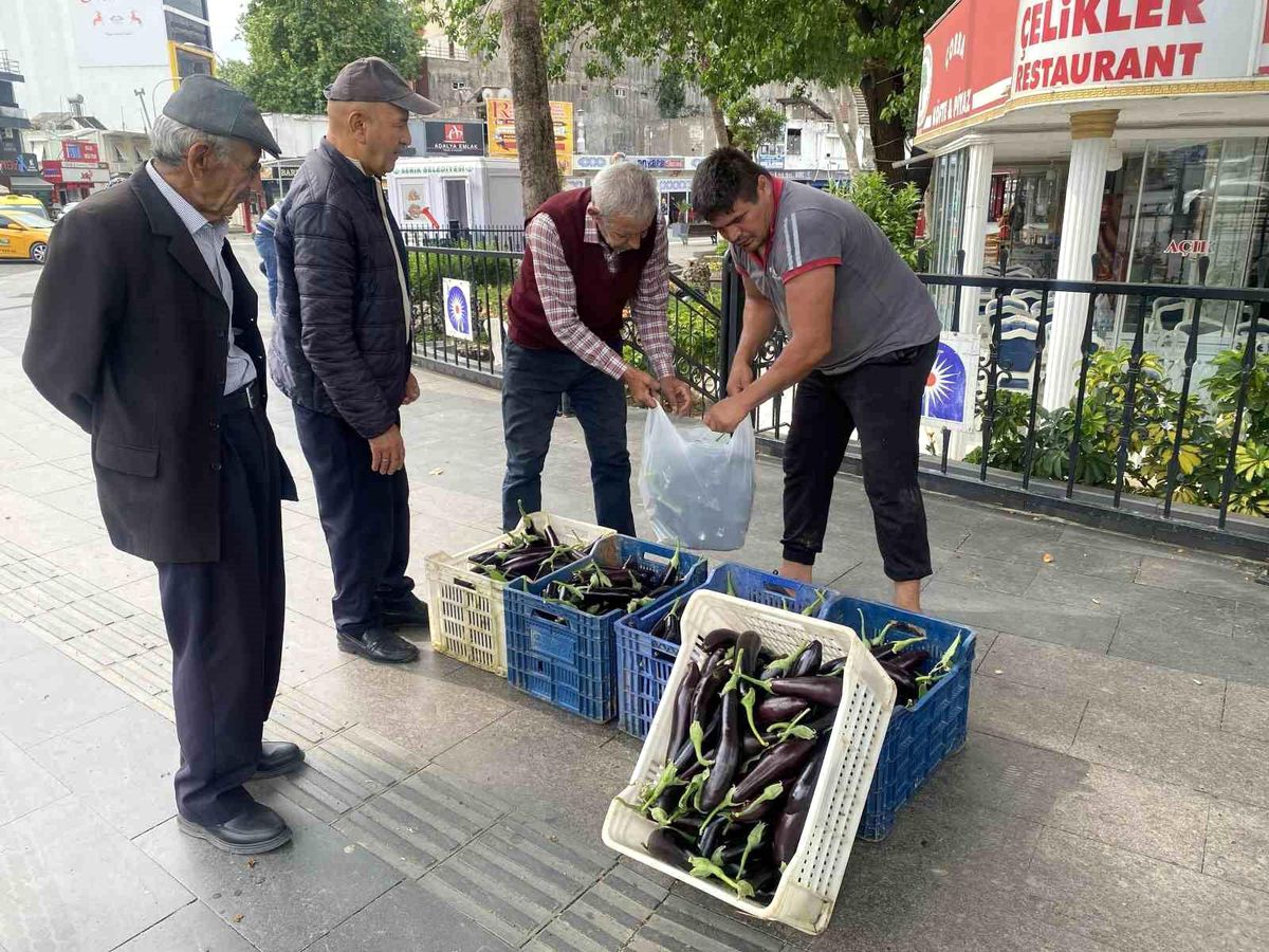 Ürettiği patlıcanlar maliyetini kurtarmayınca serasının kapılarını vatandaşlara açtı