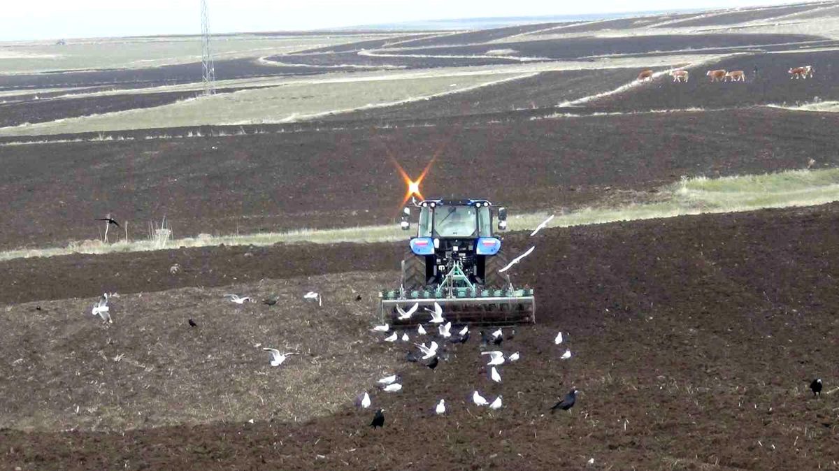 Kars'ta Uzayan Kış Tarım Takvimini Altüst Etti: Çiftçiler İmece Usulüyle Zamanla Yarışıyor