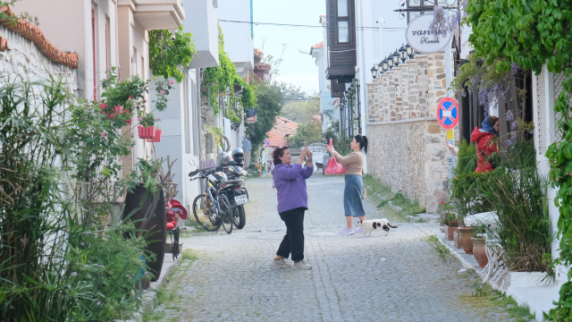 kuzey egenin turizm merkezi bo 19799712 5181 4 m