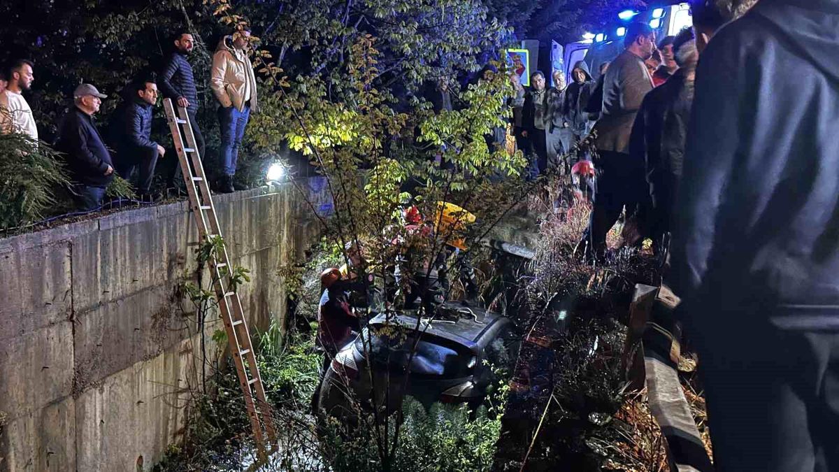 Sakarya'da otomobil dereye uçtu: 1 yaralı