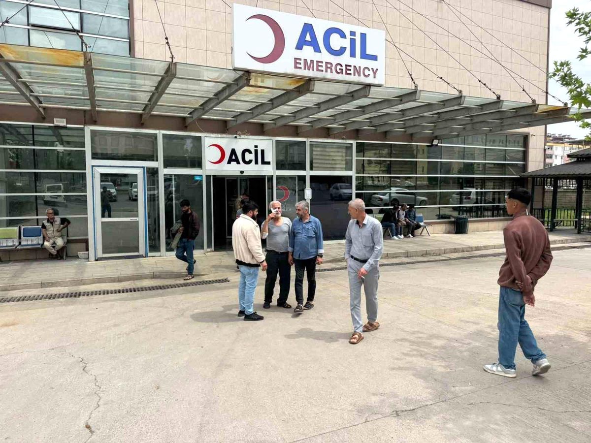 Şanlıurfa'da köpek saldırısına uğrayan yaşlı adam yaralandı