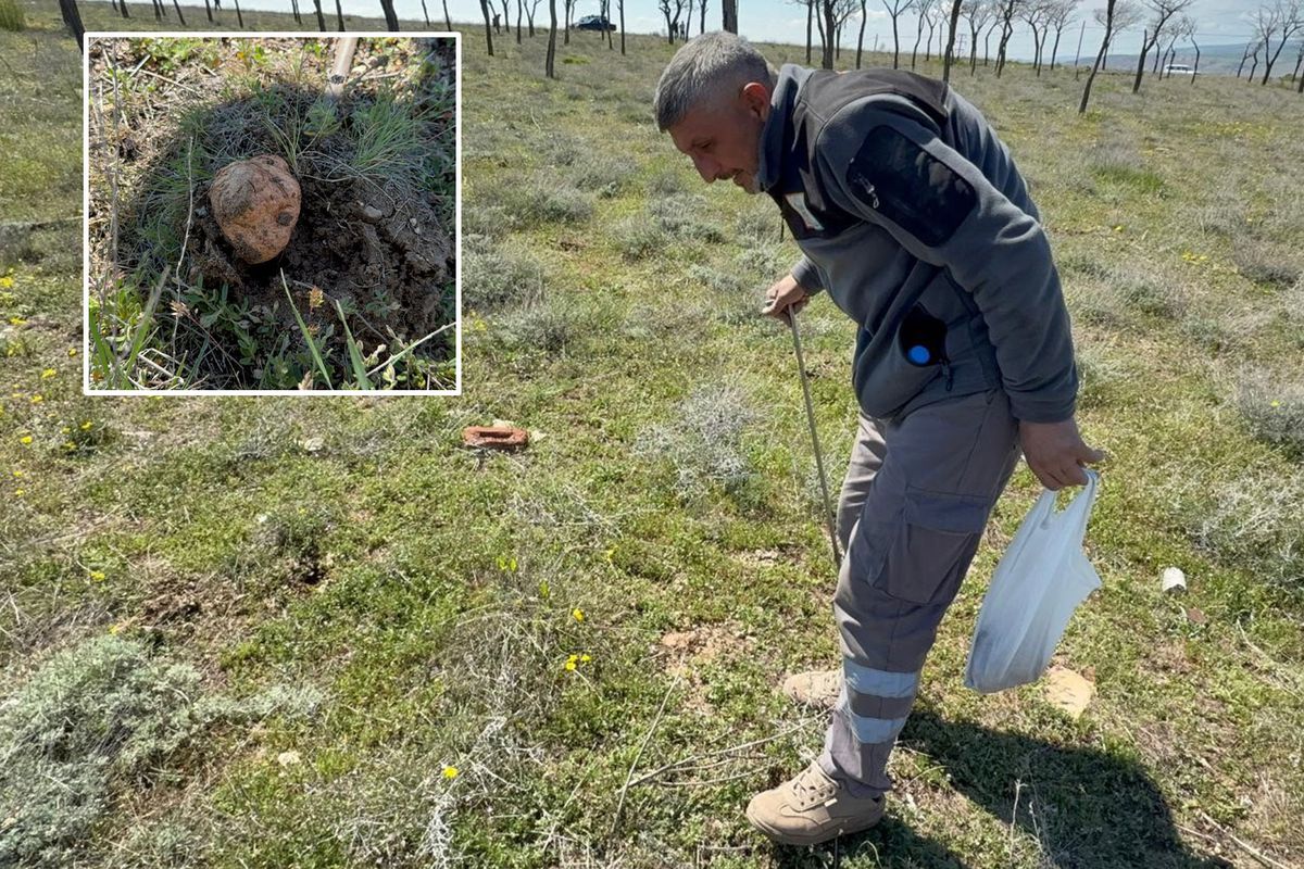 Güneş doğduğu gibi yola çıkıyor, topraktan gözünü ayırmadan arıyorlar