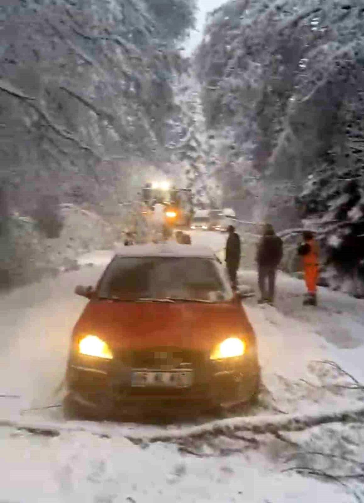 Bolu-Kıbrıscık yolunda mayıs ayında kar esareti