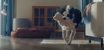 Bosch anneler günü reklamı neden yayından kaldırıldı? Bosch anneler günü reklam olayı nedir?