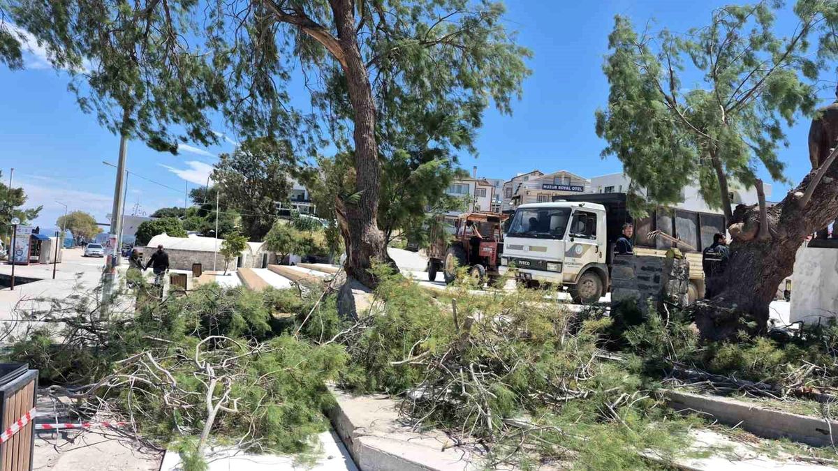 Datça'da rüzgar etkili oldu