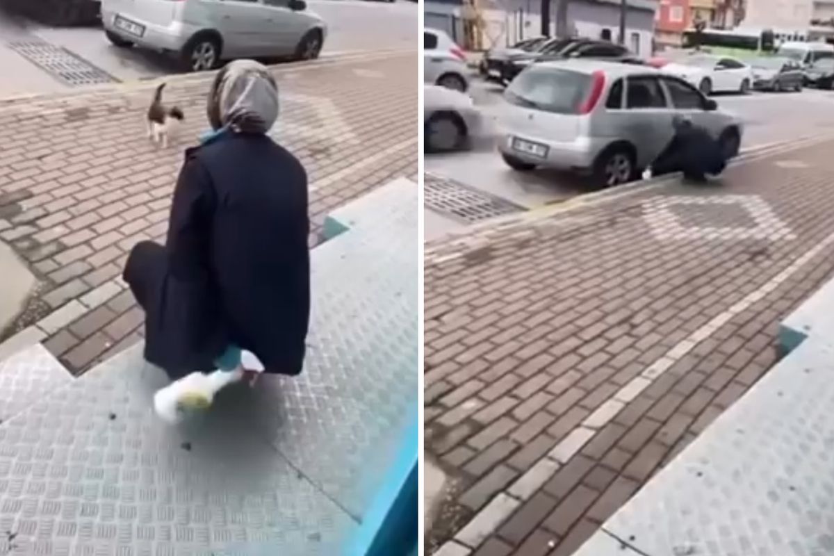 Kedinin yüzüne sprey sıkan market çalışanı gözaltına alındı
