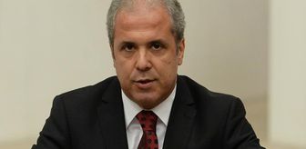 Şamil Tayyar: Ufukta sandık var