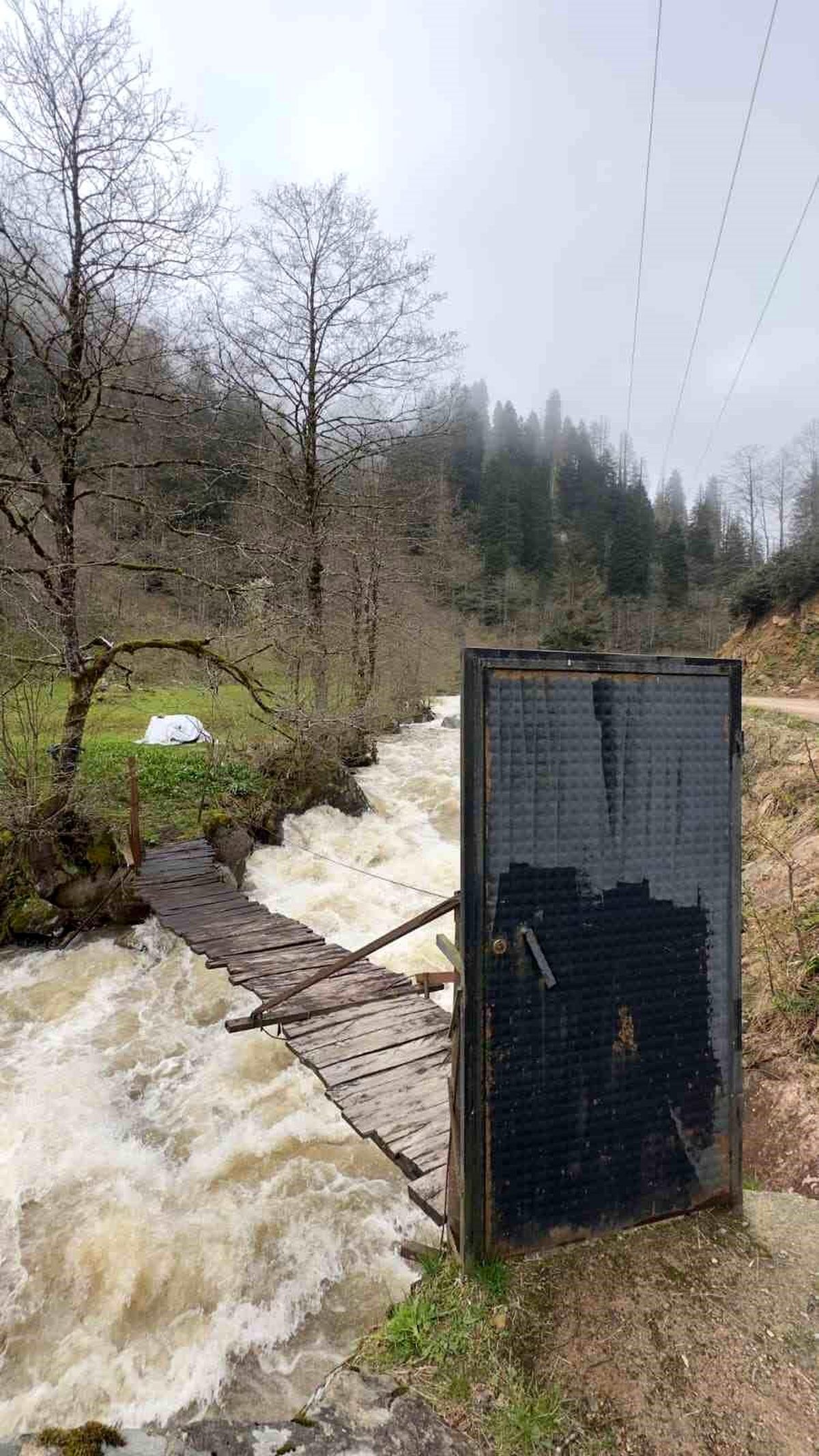 Böylesi ancak Karadeniz'de olur